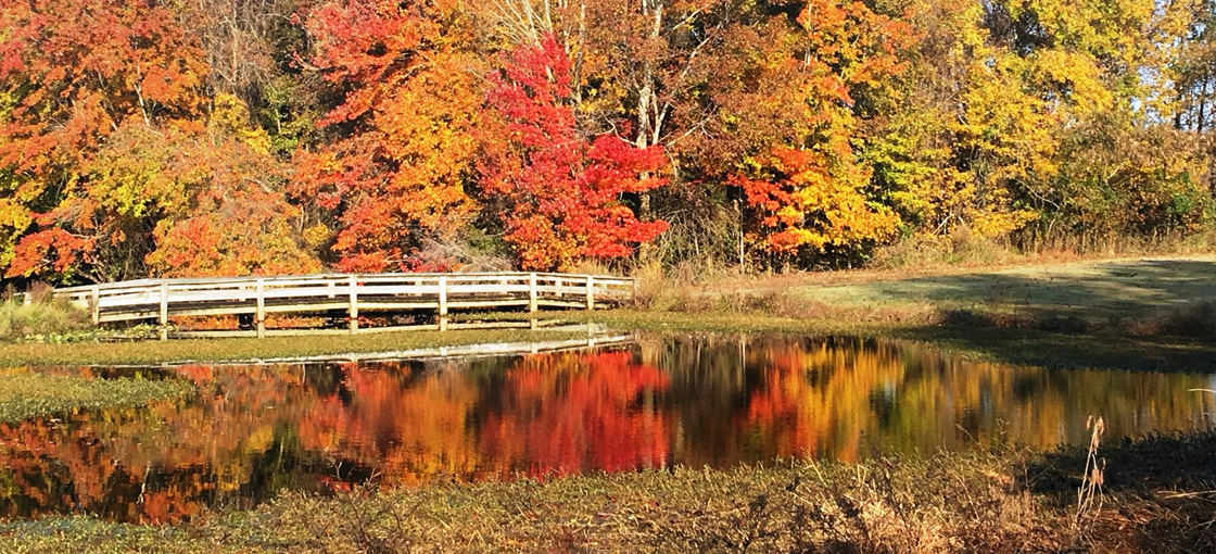 Fall Color on the links at Mulberry Hill Golf Club in Edenton, NC